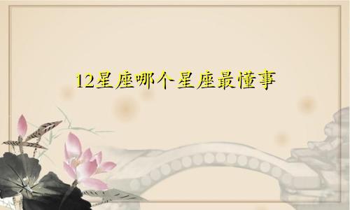 12星座哪个星座最懂事