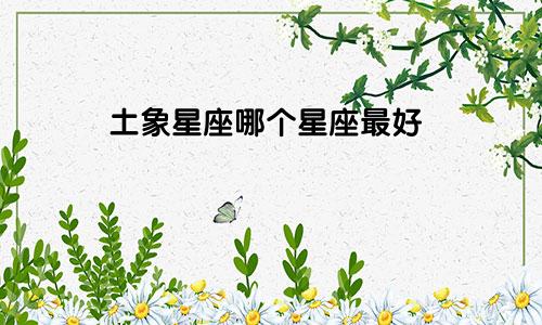 土象星座哪个星座最好
