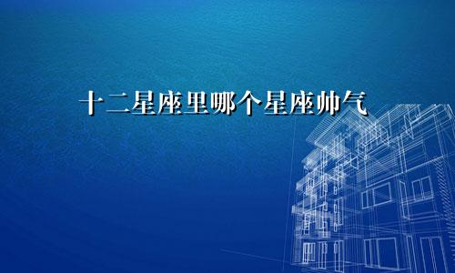 十二星座里哪个星座帅气