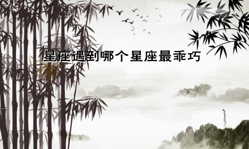 星座遇到哪个星座最乖巧