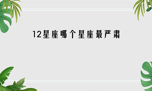 12星座哪个星座最严肃