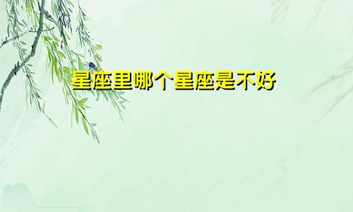 星座里哪个星座是不好