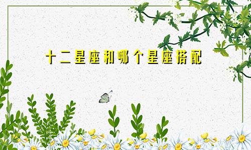 十二星座和哪个星座搭配