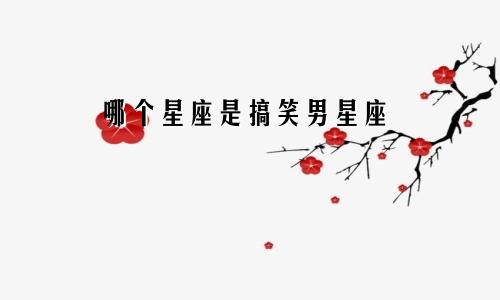 哪个星座是搞笑男星座