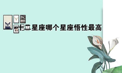 十二星座哪个星座悟性最高