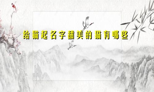 给猫起名字甜美的猫有哪些