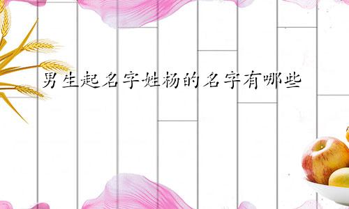男生起名字姓杨的名字有哪些