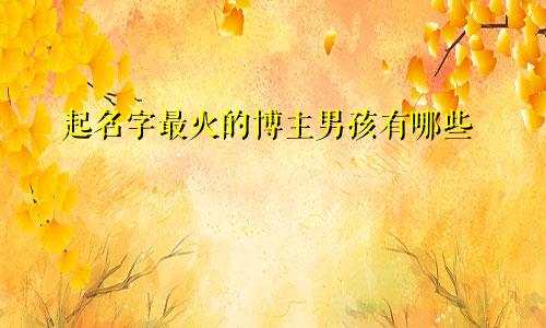 起名字最火的博主男孩有哪些