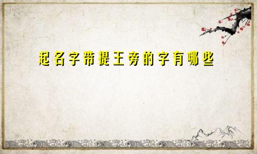 起名字带提王旁的字有哪些