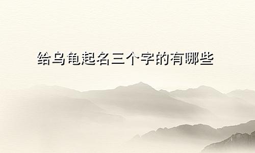 给乌龟起名三个字的有哪些