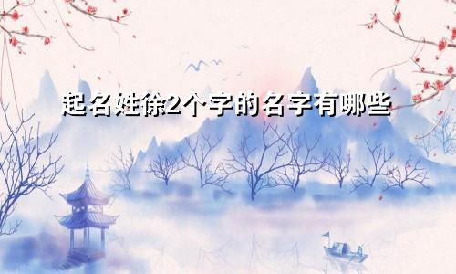 起名姓徐2个字的名字有哪些