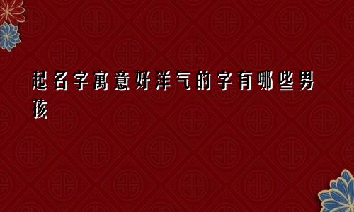 起名字寓意好洋气的字有哪些男孩
