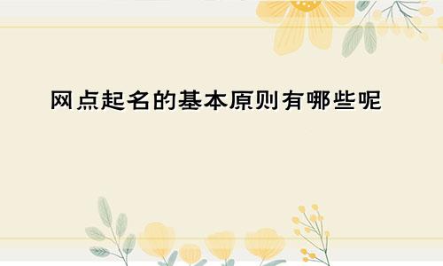 网点起名的基本原则有哪些呢