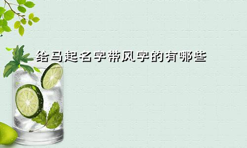 给马起名字带风字的有哪些