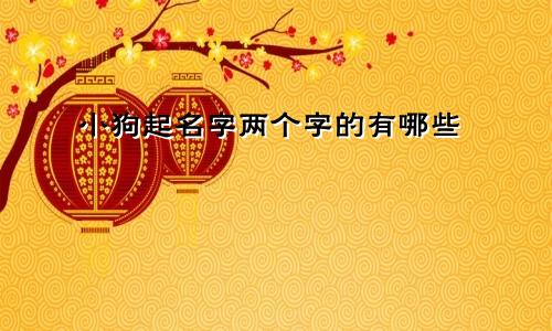 小狗起名字两个字的有哪些