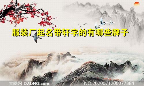 服装厂起名带轩字的有哪些牌子