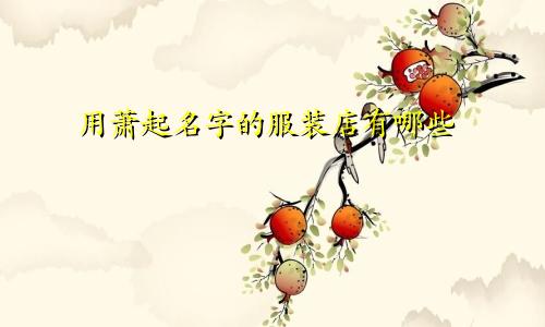 用萧起名字的服装店有哪些