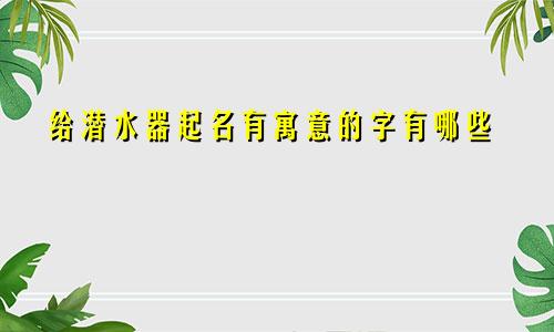 给潜水器起名有寓意的字有哪些