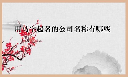 用马字起名的公司名称有哪些