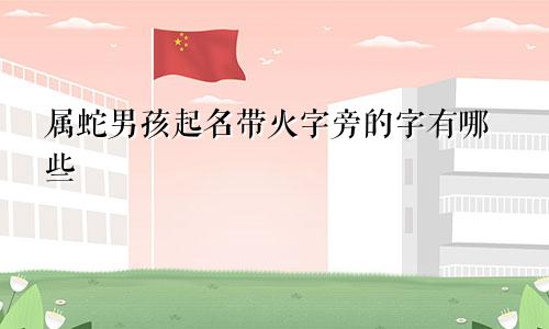 属蛇男孩起名带火字旁的字有哪些