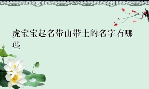 虎宝宝起名带山带土的名字有哪些