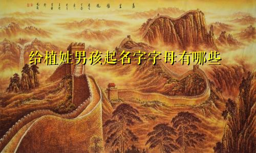给植姓男孩起名字字母有哪些