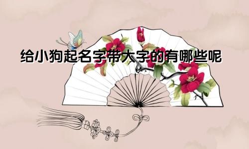 给小狗起名字带大字的有哪些呢