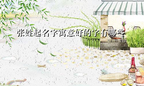 张姓起名字寓意好的字有哪些