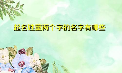 起名姓董两个字的名字有哪些