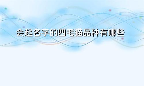 会起名字的四毛猫品种有哪些