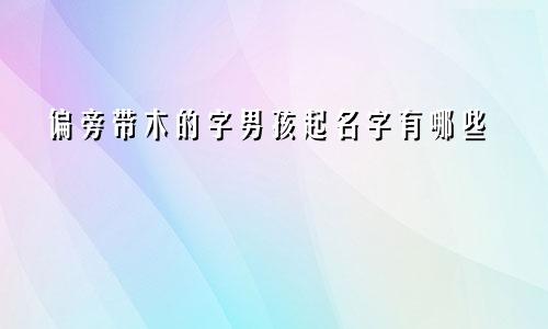 偏旁带木的字男孩起名字有哪些