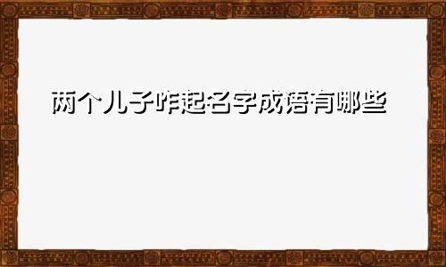 两个儿子咋起名字成语有哪些