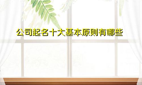 公司起名十大基本原则有哪些