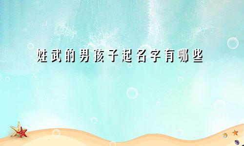 姓武的男孩子起名字有哪些
