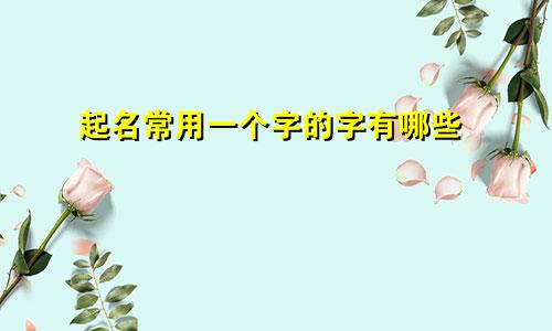 起名常用一个字的字有哪些