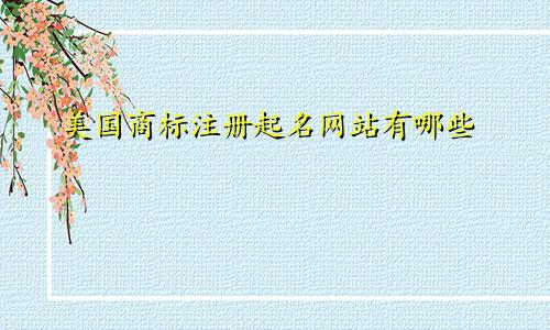 美国商标注册起名网站有哪些