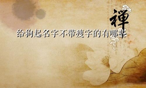 给狗起名字不带瘦字的有哪些