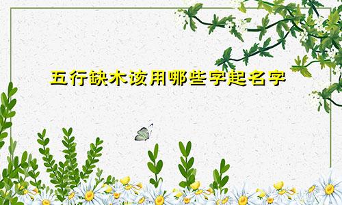 五行缺木该用哪些字起名字