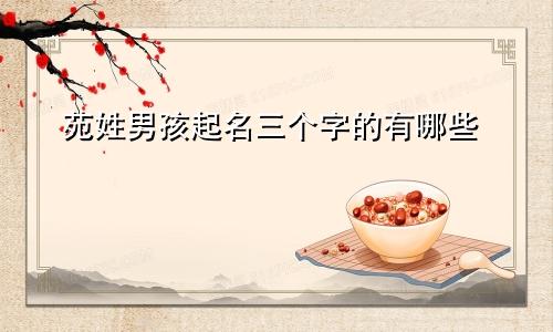 苑姓男孩起名三个字的有哪些