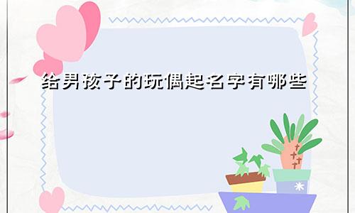 给男孩子的玩偶起名字有哪些