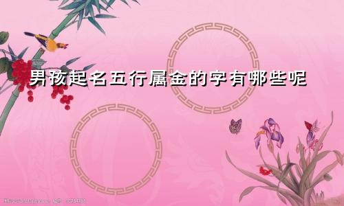 男孩起名五行属金的字有哪些呢
