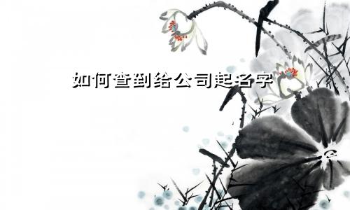 如何查到给公司起名字