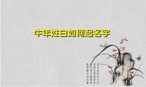 牛年姓白如何起名字