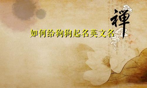 如何给狗狗起名英文名