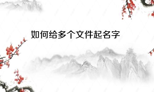 如何给多个文件起名字