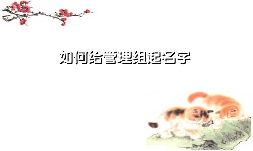 如何给管理组起名字