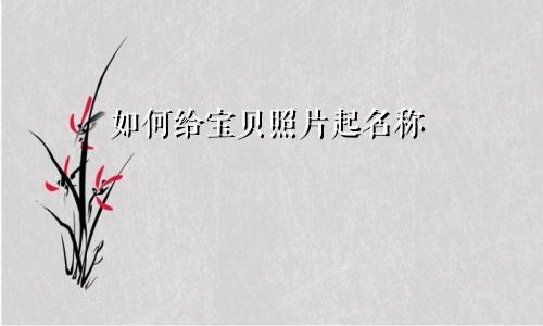 如何给宝贝照片起名称