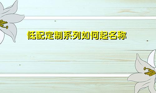 低配定制系列如何起名称