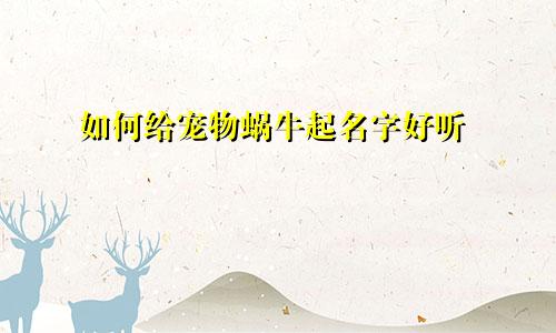 如何给宠物蜗牛起名字好听