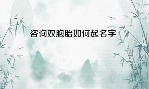 咨询双胞胎如何起名字